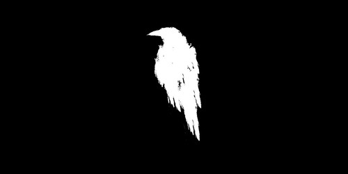 social raven.jpg