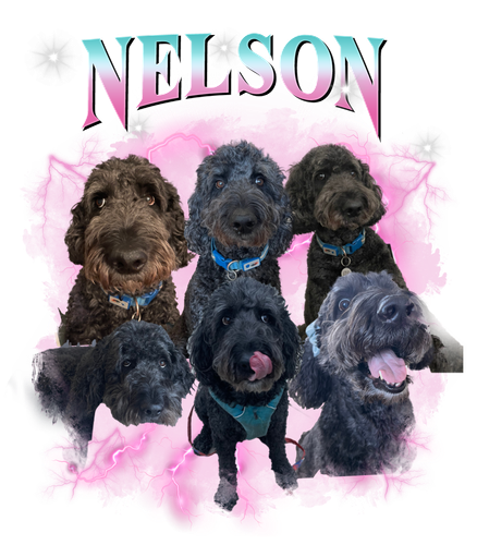 nelson 10.png