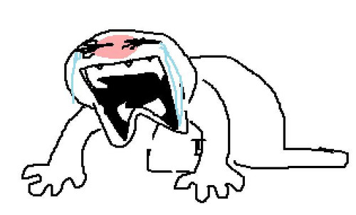 undefined.jpg