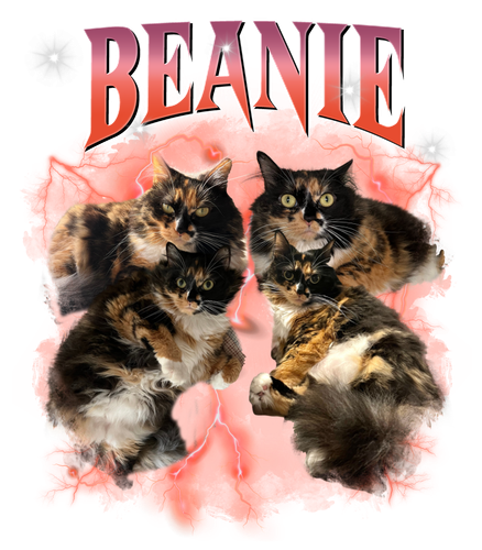 beanie.png