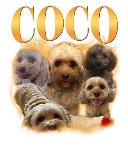 Coco.png