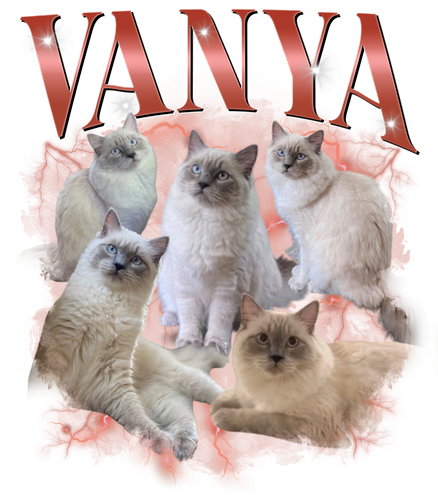 Vanya.png