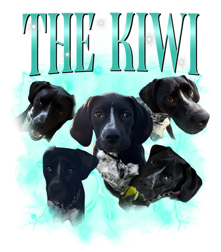 the kiwi.png