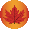 ACg8ocKwy28PLgQOOTElaBvXKivqyxEzaSJJB8Nu9302rPiONA=s96 c rg br100.gif