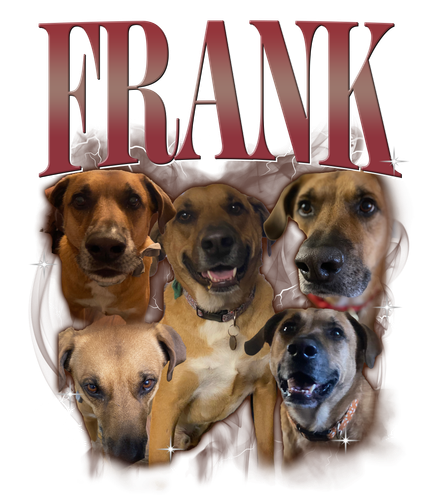 Frank.png