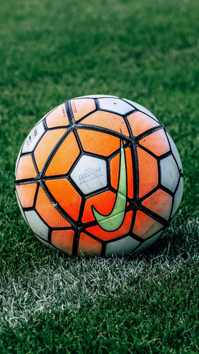 soccer ball football lawn 121273 720x1280.jpg