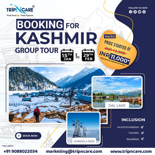 Explore Paradise on Earth with Tripncare's Kashmir Tour Package Unforgettable Experiences Await.jpg