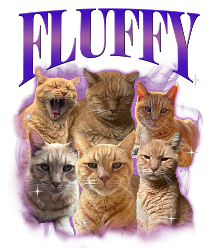 3125691086.png