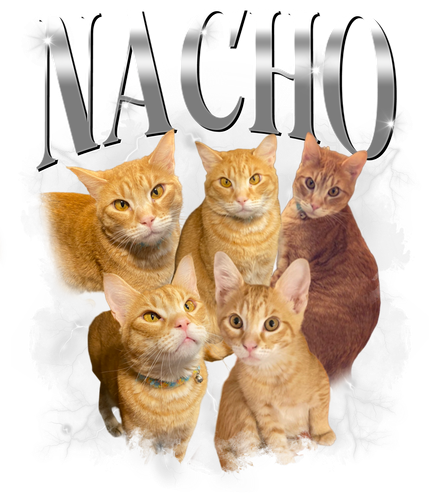 3120630244 Nacho 10.png
