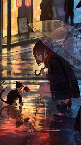girl kitten flower 141058 720x1280.jpg
