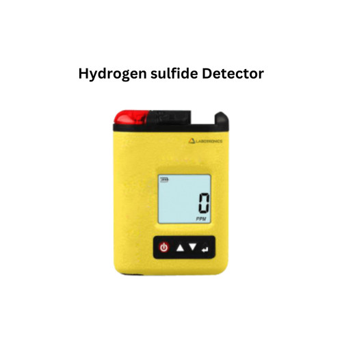 Hydrogen sulfide Detector Copy