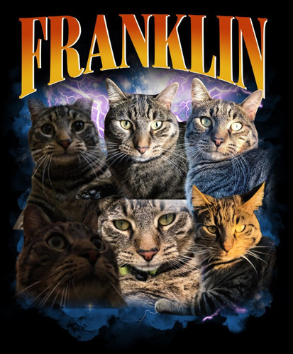 Franklin 3120591620.jpg