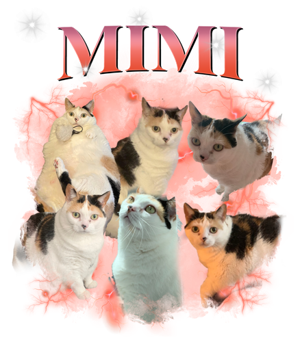 MIMI.png