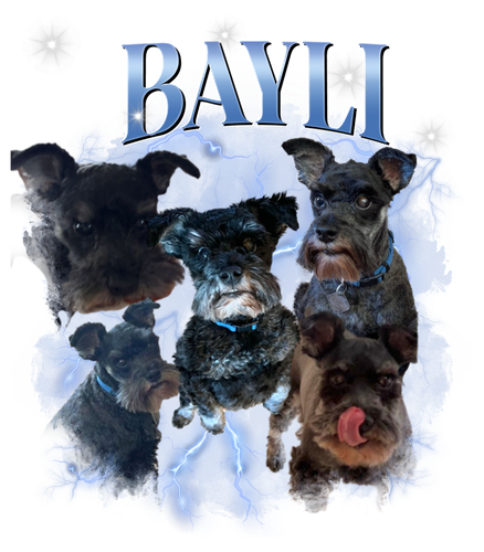 Bayli.png