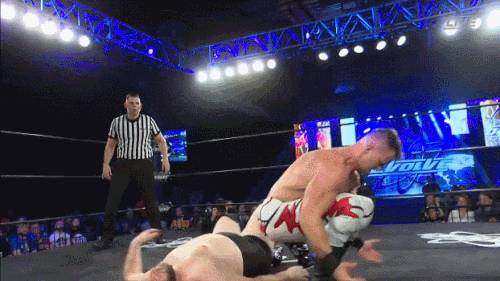 Standing Moonsault.gif