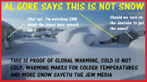 AL GORE SAYS THIS IS NOT SNOW.jpg