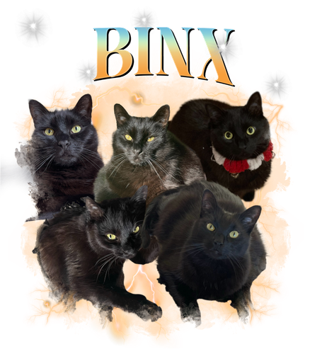 BINX.png