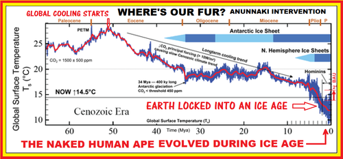 ALL OF HUMAN EVOLUTION IN THE ICE AGE.png
