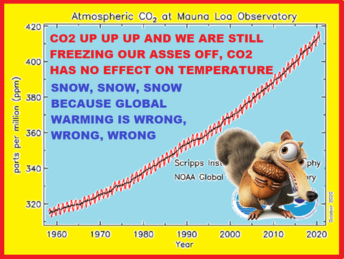 co2 data mlo.png