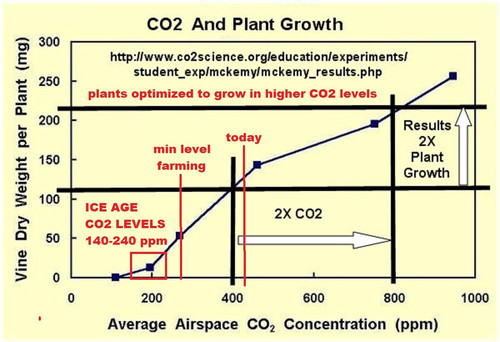 CO2 Make Plant Grow