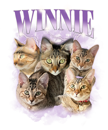 Winnie.png