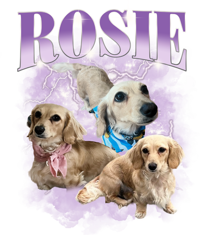 Rosie 3119713650.png