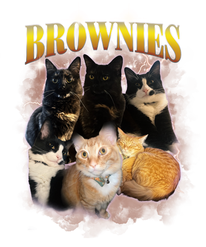 Brownies.png
