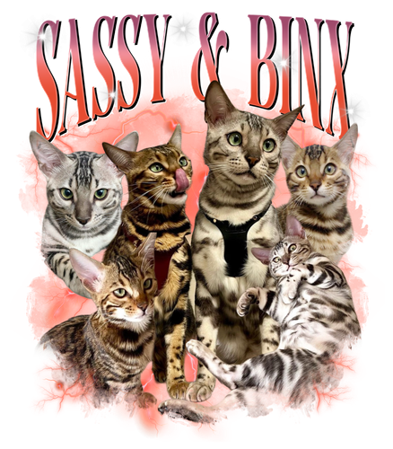3128160170 Sassy & Binx 12.png