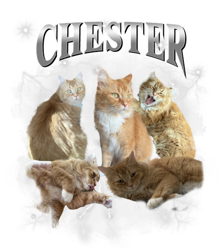 chester.png