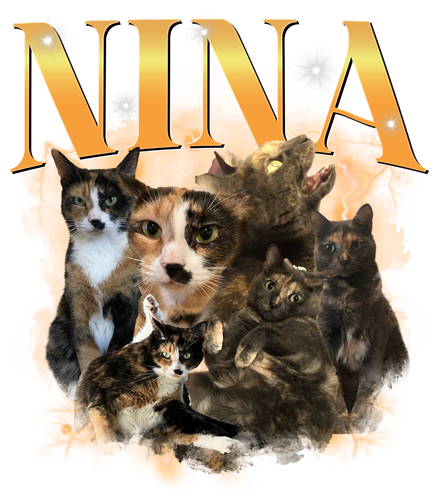 NINA.png