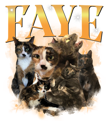 FAYE.png