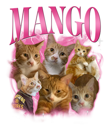 3128043476 2.png