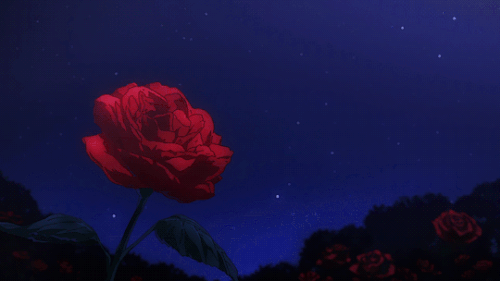 f88ae5c4075aca5bb1029141626a87c6.gif
