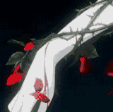 19c7531418dc0c7fdb75cadb027f7ea1.gif