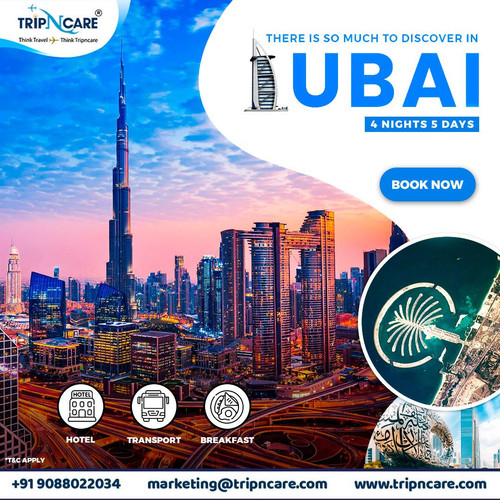 Discover the Unrivaled Beauty of Dubai with Tripncare Your Gateway to Exquisite Experiences in the C.jpg