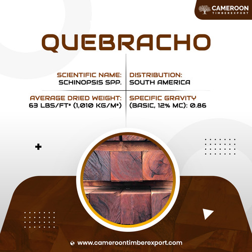 6th dec Quebracho.jpg