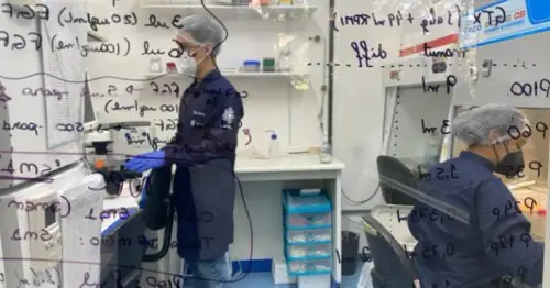 Laboratorio Vyro3 1.webp