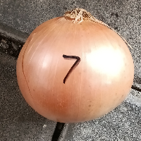 268499d9eb26.png