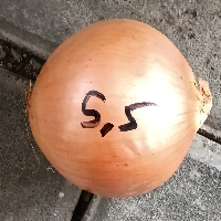 123d7c8316cf.png