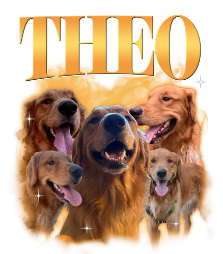 3116866259 2.png