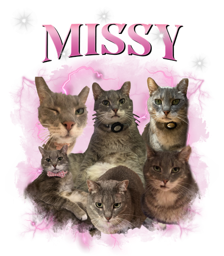 missy.png