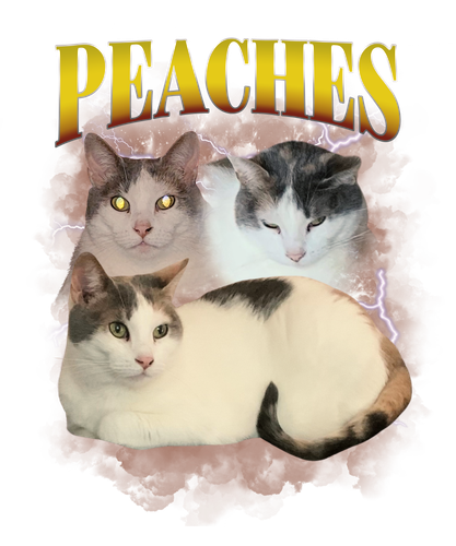 Peaches.png