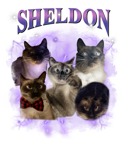sheldon.png