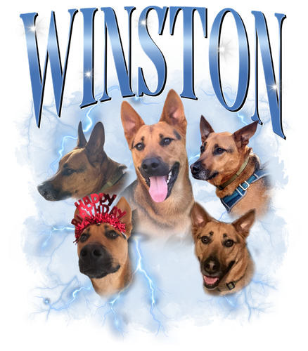 3123013934 (2).png