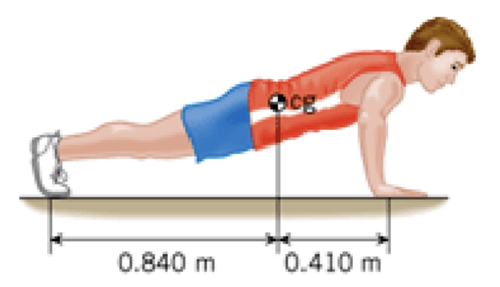 CJ Chosen Rot. Equil. Q11
