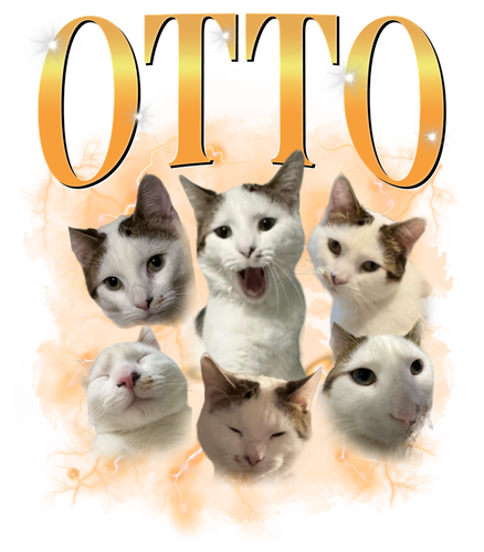 3121585154.png