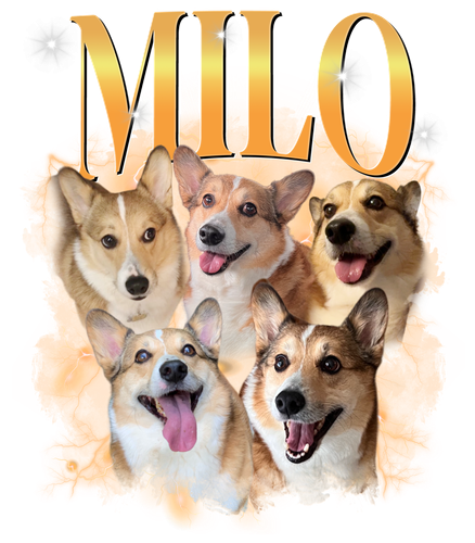 3115370193.png