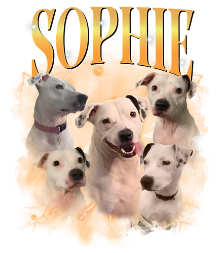 sophie.png