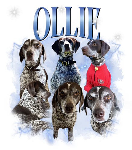 Ollie 9 + 1.png