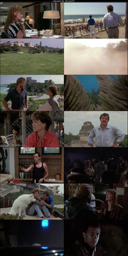 Against.All.Odds.1984.WebDl.480p.[Hindi.English].ESub.jpg